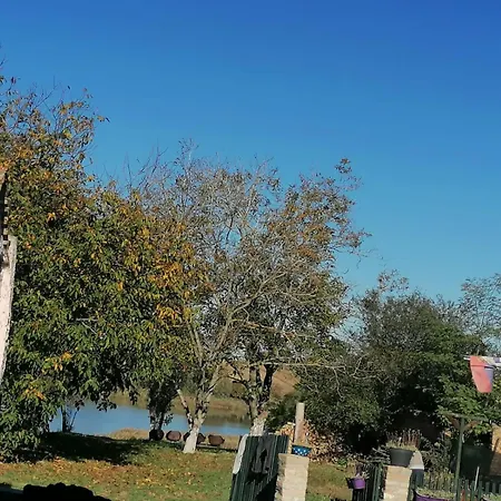 Std Kod Makse, Kuca Na Jezeru Kraljevac Deliblato