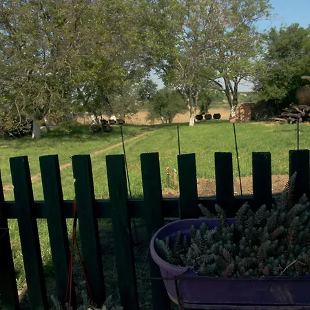 Std Kod Makse, Kuca Na Jezeru Kraljevac 펜션 *