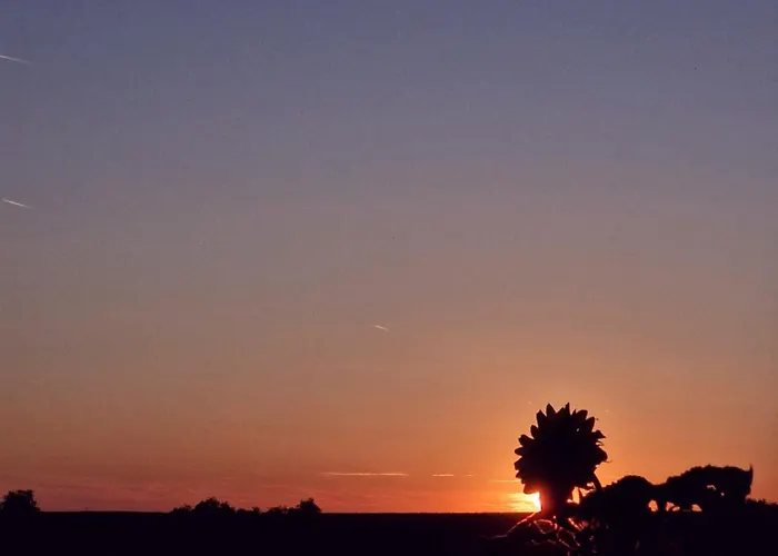 Std Kod Makse, Kuca Na Jezeru Kraljevac *